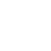 Ale Alemán Faberlic